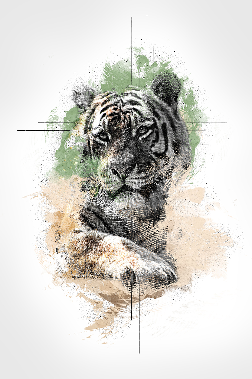 Abstract impressions: Tiger