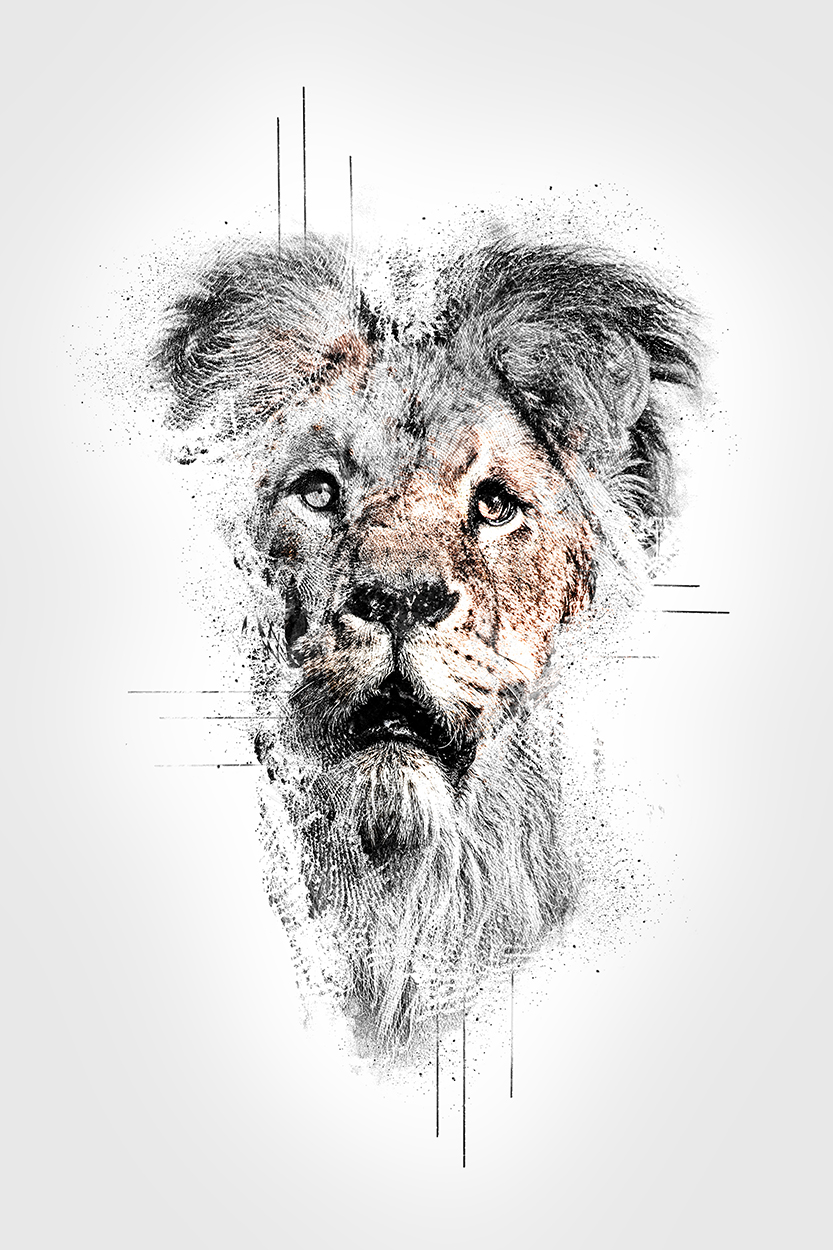 Abstract impressions: Lion