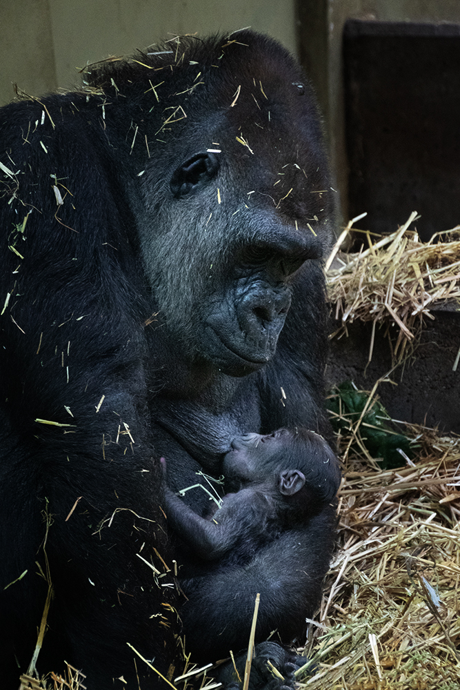 Dafina & baby