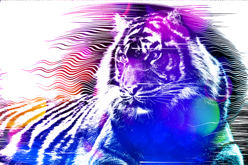 Sumatraanse tijger - Sumatran tiger (Modern Art Photoshop Action v2)