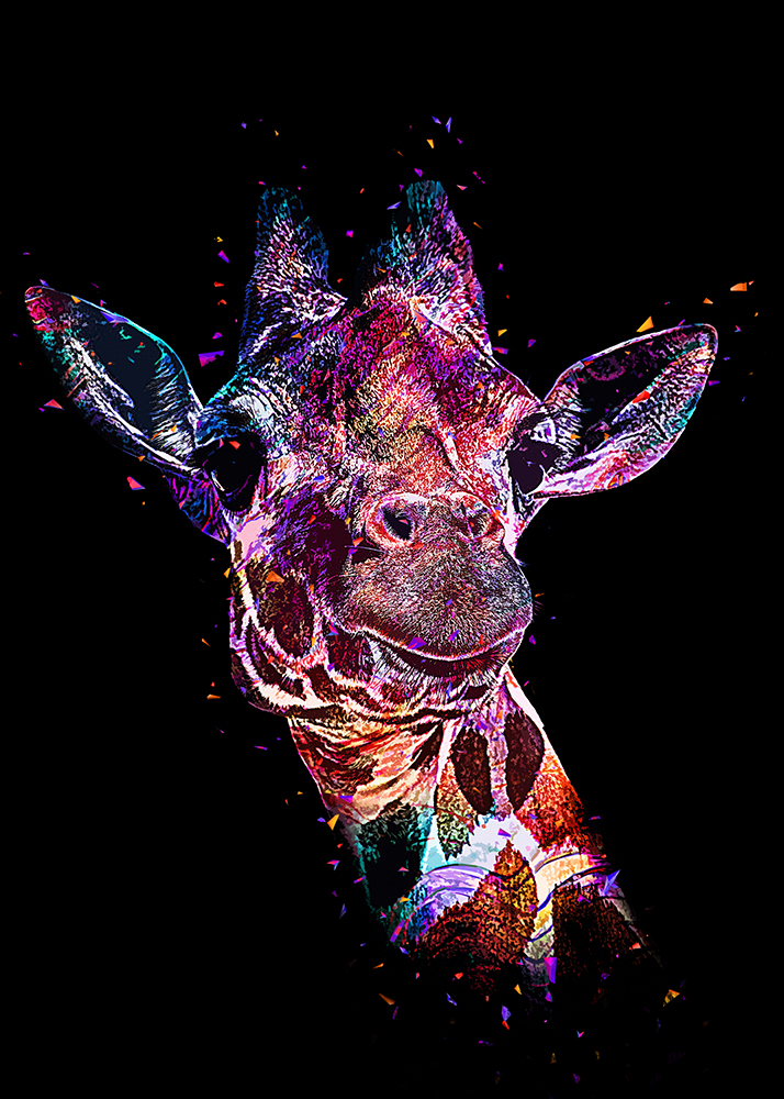 Netgiraffe - Reticulated giraffe (Abstract Color Photoshop Action)