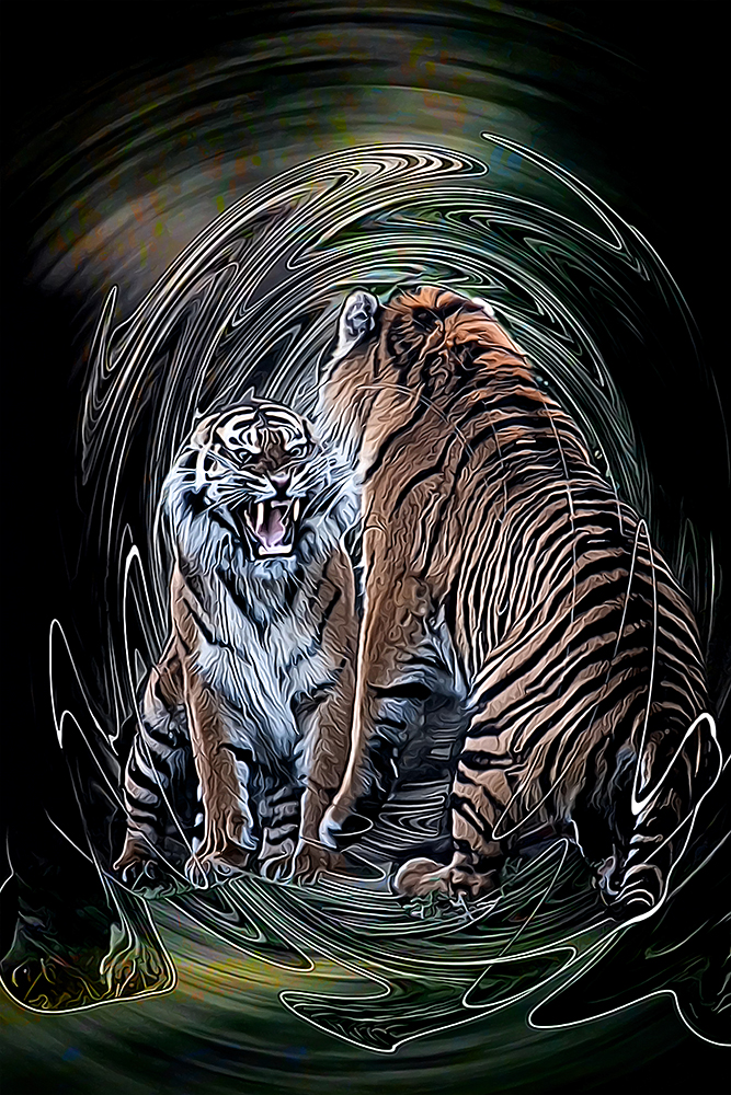 Sumatraanse tijgers - Sumatran tigers (Burgers Zoo Arnhem)