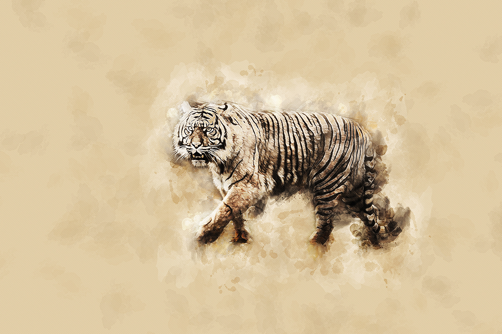 Tijger - Tiger - Retro illustration Photoshop action