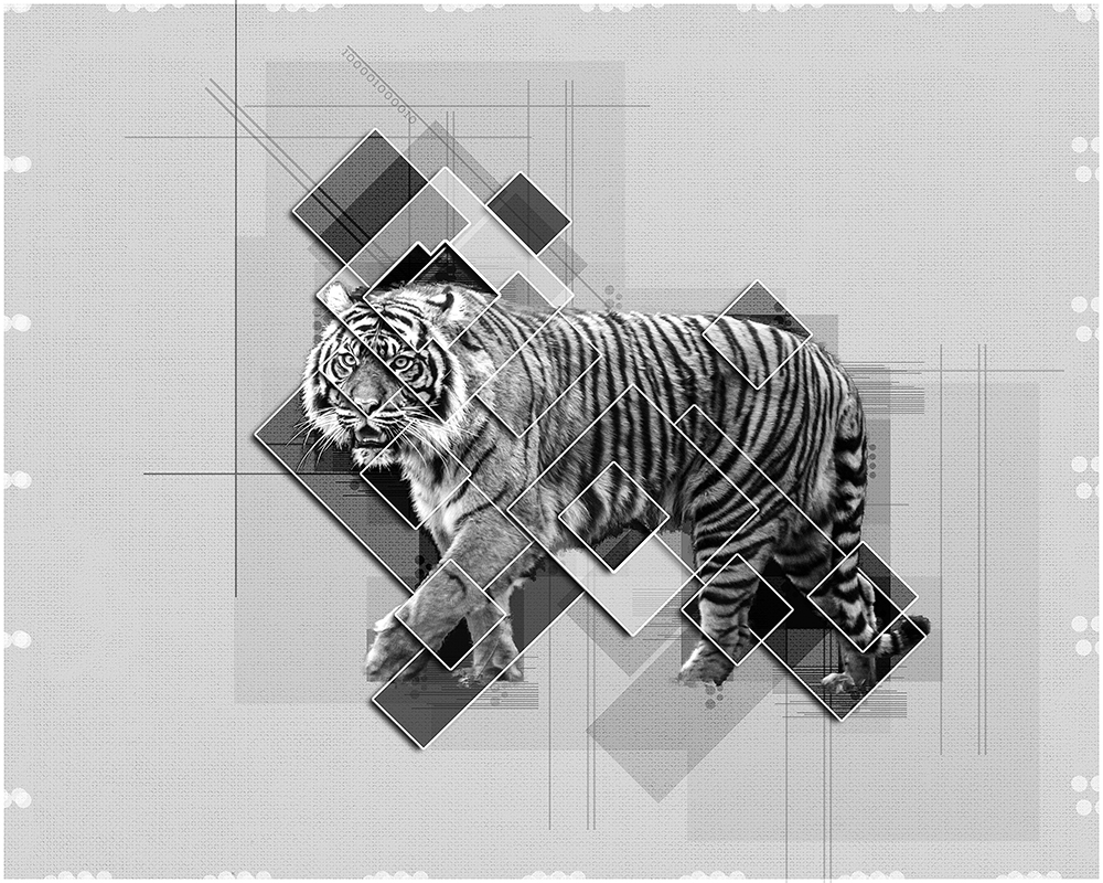 Tijger - Tiger - Collage graphic poster Photoshop action