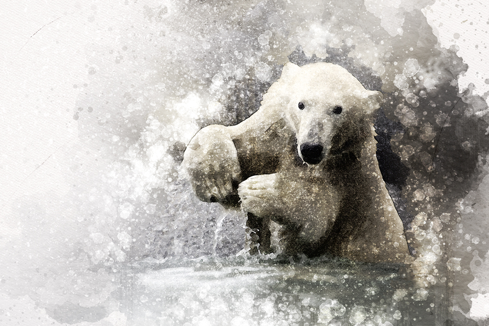 IJsbeer - Polar bear (Wildlands 2016)