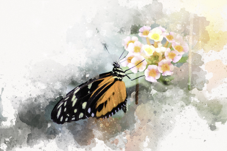 Digital Watercolor Painting