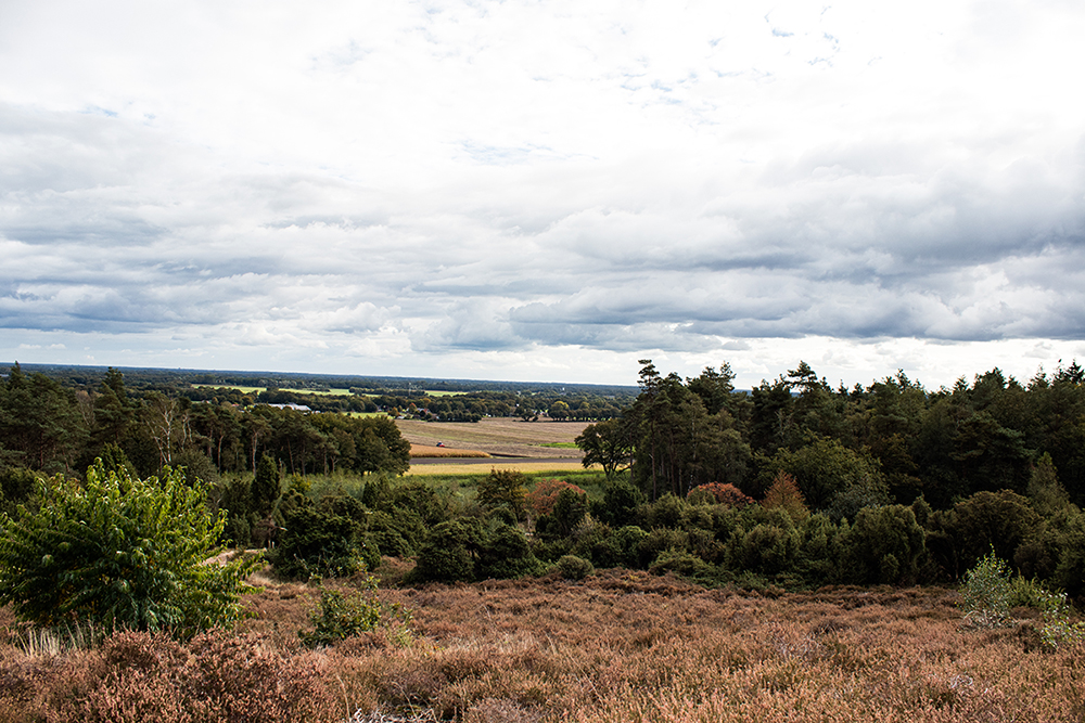 Foto vanaf Uitzichtpunt Lemele - Photo from Viewpoint Lemele