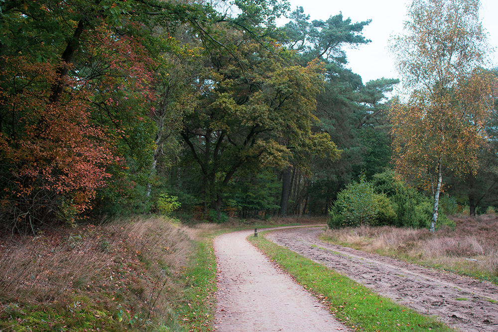 Van Heek weg - Van Heek road